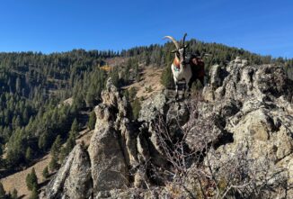 Tails from the Trails: A Hike and a Hunt